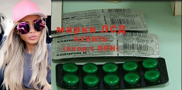 стаф Ельня