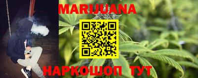 твердый Гатчина